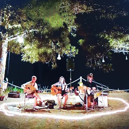 Orange Tree House Rhodes * Apolakkia